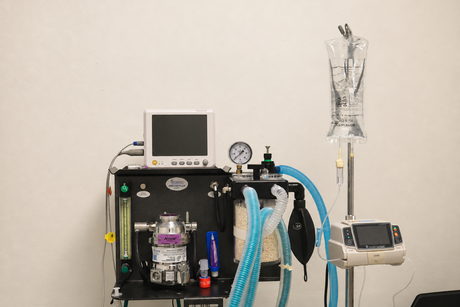 Emergency Care at Kendall Animal Clinic in Kendall, FL