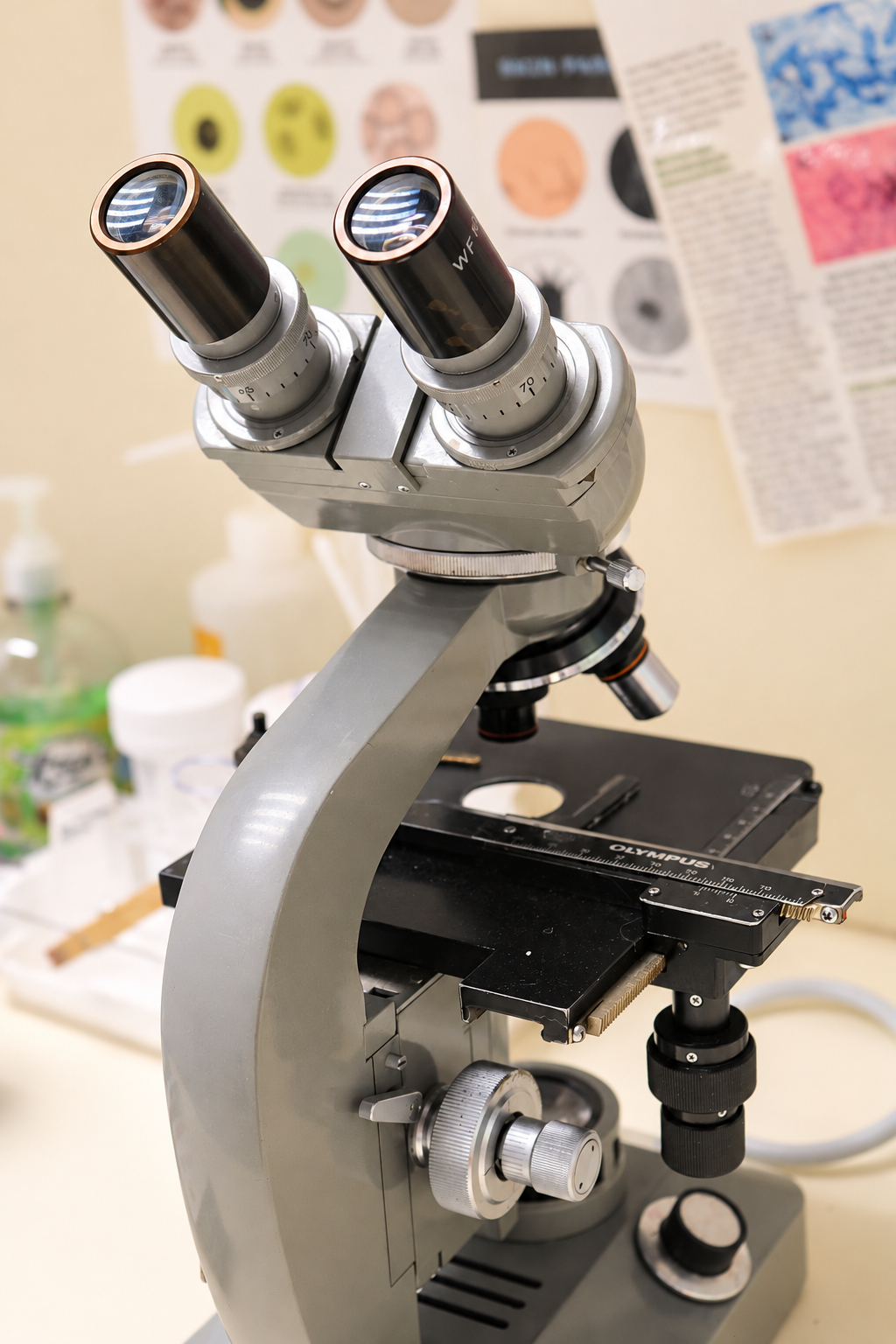 Laboratory Services at Kendall Animal Clinic in Kendall, FL